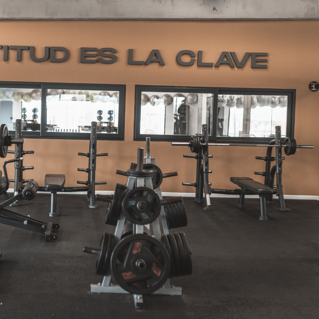 Sala de peso libre de Fabrik Fitness